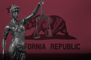 A Win in California! Prop 16 Goes Down preview