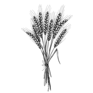 bushel of wheat