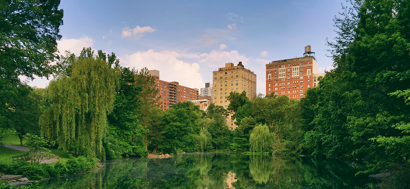 (Central Park via Unsplash)