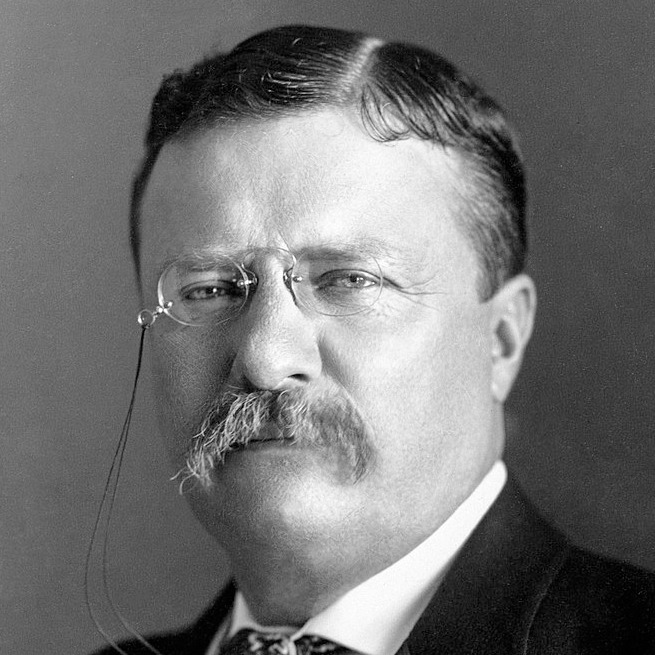 theodore roosevelt