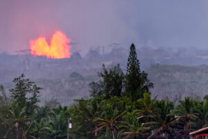 How to Support the Maui Wildfires Relief Effort preview